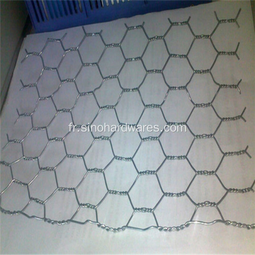treillis métallique hexagonal à double torsion